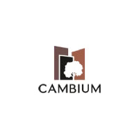Cambium