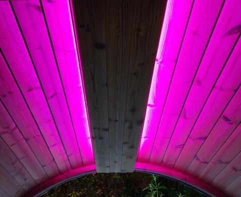 SaunaLife SaunaLife Emood Color Lighting for ERGO Sauna - Sauna Accessories