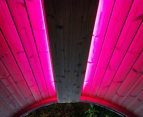 SaunaLife SaunaLife Emood Color Lighting for ERGO Sauna - Sauna Accessories