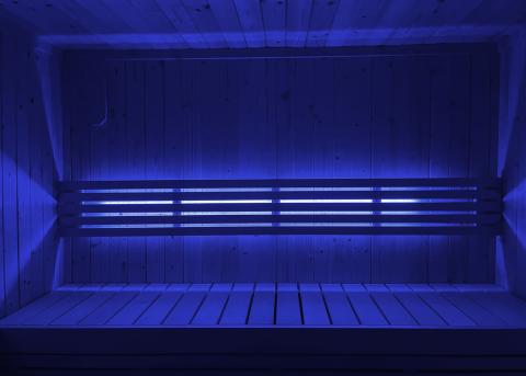 SaunaLife SaunaLife Mood Lighting for Model X6 Sauna - Sauna Accessories