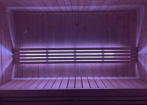 SaunaLife SaunaLife Mood Lighting for Model X6 Sauna - Sauna Accessories