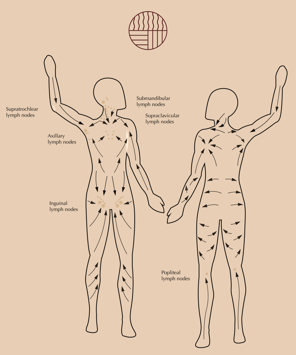 Embrace The Heat The Flow | Body Gua Sha By Embrace The Heat - Accessories