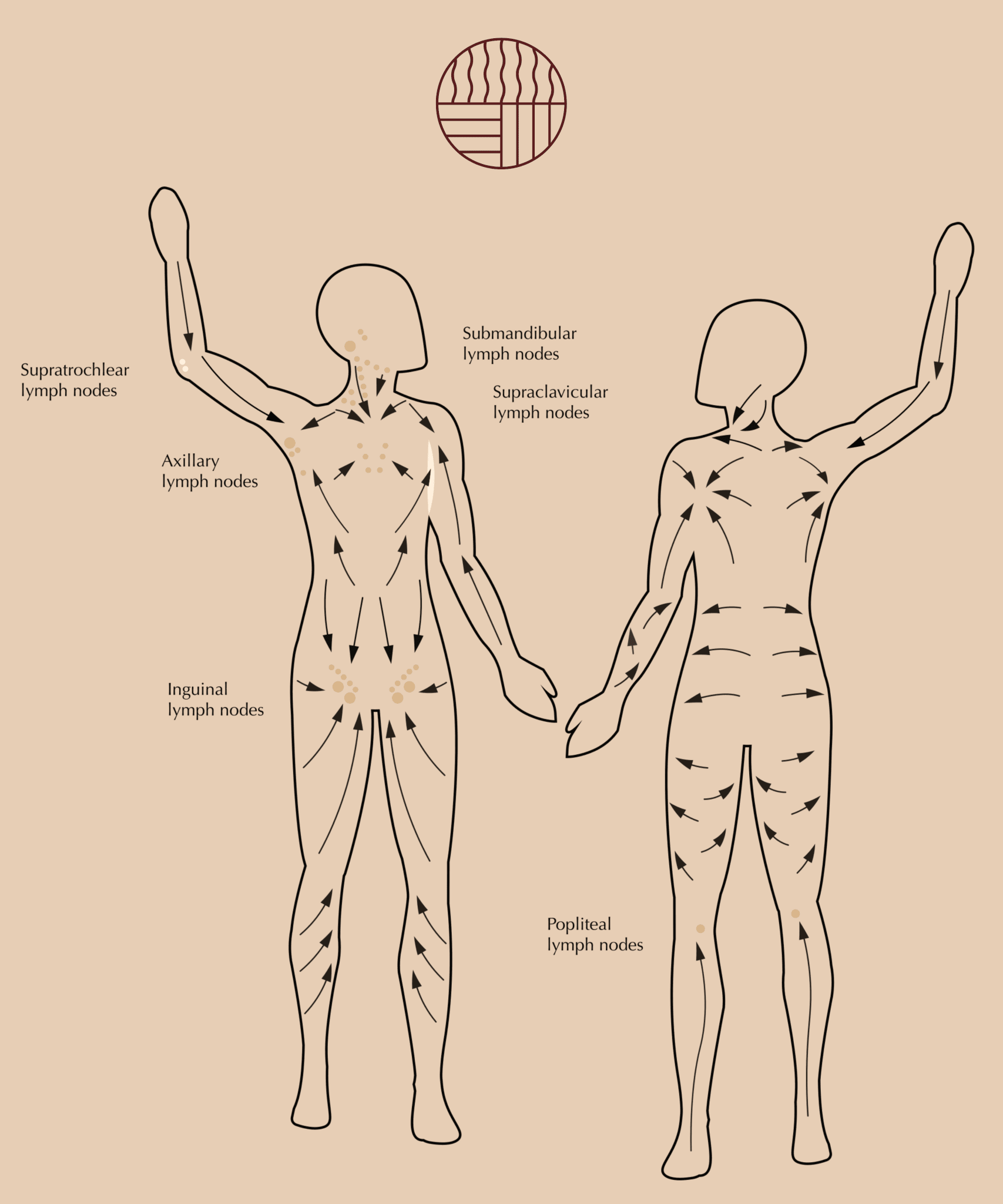 Embrace The Heat The Flow | Body Gua Sha By Embrace The Heat - Accessories